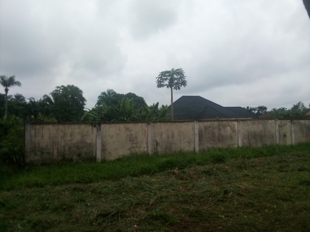 Umueze Hall photo 2